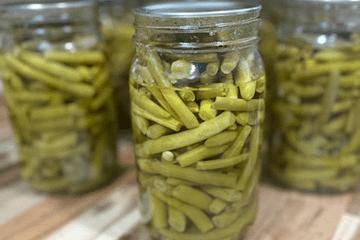 Jars of green beans on a wooden counter top