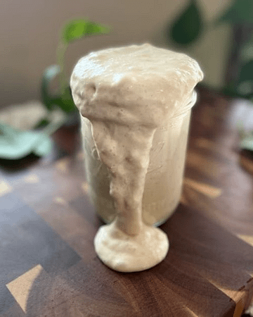 Jar with sourdough starter running over the edge with a plant in the background