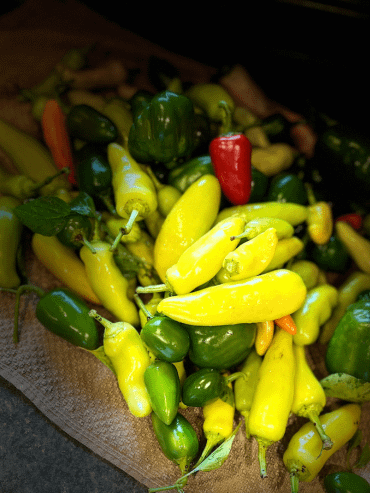 Green, yellow, and red peppers